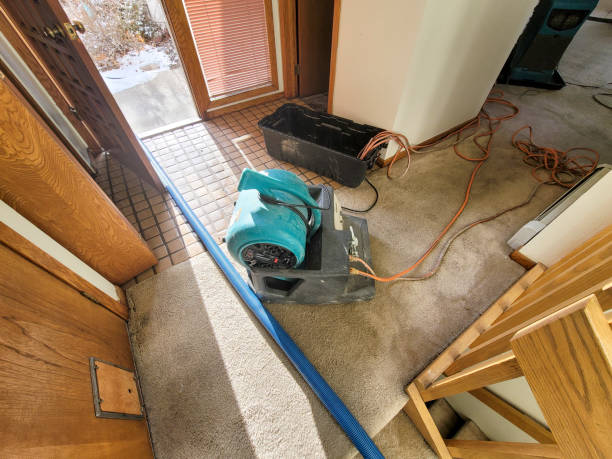 Best Residential water damage restoration  in Evergreen, AL