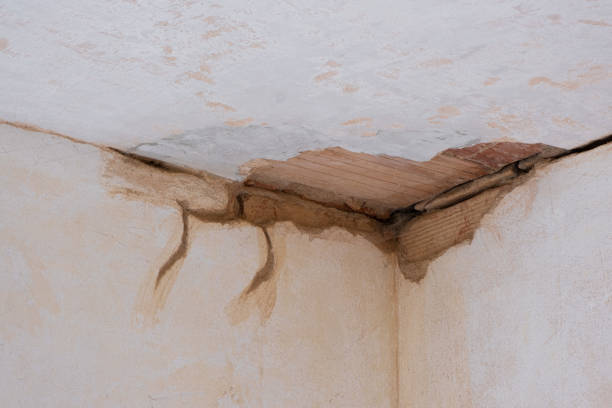 Best Sewage cleanup and water damage restoration  in Evergreen, AL