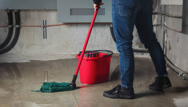 Trusted Evergreen, AL Water damage restoration Experts